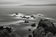 Point Lobos - No 6