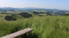 Schweiz - Kanton St.Gallen / Region St.Peterzell / Neckertal - Bergli - Hochwacht - Chäseren