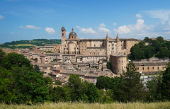 Urbino (Italy)