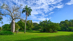 George Brown Darwin Botanic Gardens - 2023