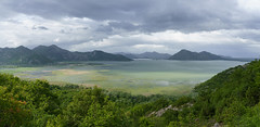 Montenegro - Skadari-Lake