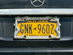 Classy License Plate Frame