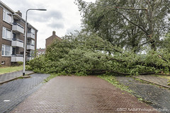 Bomenstorm IJmuiden  05-07-2023