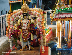 Velleeswarar Temple 2023Collection