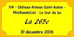 04 - Chateau-Arnoux-Saint-Auban - 31 décembre 2016