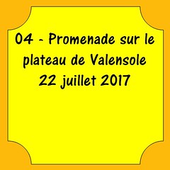 04 - Plateau de Valensole - 22 juillet 2017