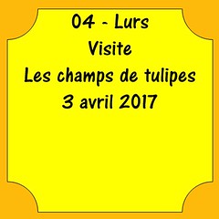 04 - Tulipes de Lurs - 3 avril 2017