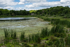 Minnesota Landscape Arboretum 2023