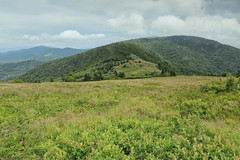 Roan Mountain and Highlands, North Carolina and Tennessee