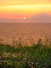 Lake Erie 2023