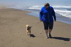 Bullards Beach dog walk