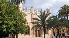 Palma de Maiorca (Spain): citiviews.