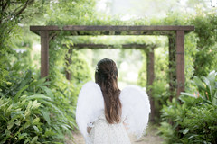 Lydia ^ The Angel