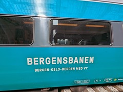 Norway 2023 - 03 June - Bergensbanen train journey