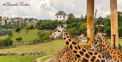 Zoo Prague