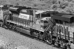 Mexican Railroads