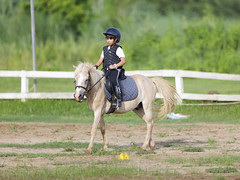 Viera @Horse Riding 2