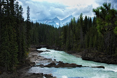 Canada (Kicking Horse River)