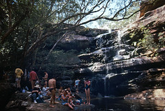 90CS000 - Brisbane Water National Park