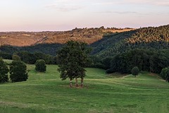 Cantal, Auvergne (2023)