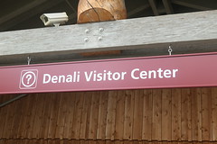 Denali National Park Alaska June 2023