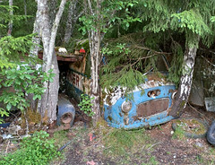 Abandoned junkyard in a forrest