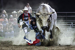 (Jul. 28) Kearney Bull Riding (Friday) 2023