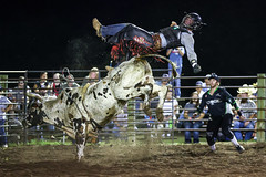 (Jul. 29) Kearney Bull Riding (Saturday) 2023