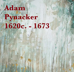 Pynacker Adam