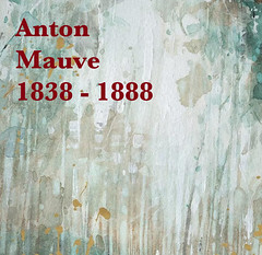 Mauve Anton
