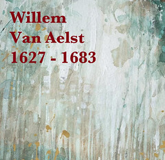 Van Aelst Willem