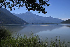 Lago di Mezzola