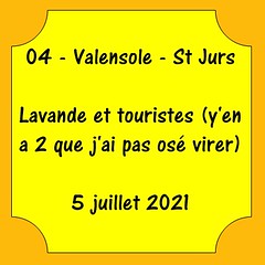 04 - Plateau de Valensole et St Jurs - 5 juillet 2021