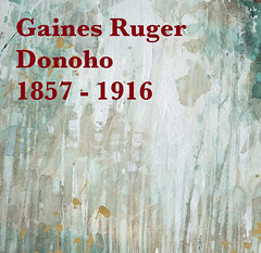 Donoho Gaines Ruger