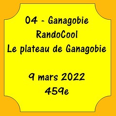 04 - Ganagobie - RandoCool - Le plateau - 9 mars 2022 - 459e