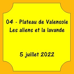 04 - Plateau de Valensole - Les aliens de Valensole - 5 juillet 2022
