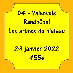 04 - Valensole - RandoCool - Les arbres du plateau - 29 janvier 2022 - 455e