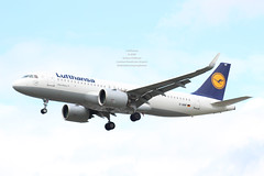 Lufthansa - D-AINF