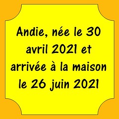 Andie - Juin 2021