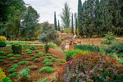 Spain - Andalucia - Granada - Alhambra