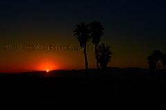 Santa Monica Beach Sunset 082523