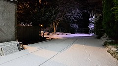 Snow at Night - 2023-03-08