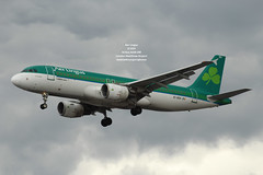 Aer Lingus - EI-DEH