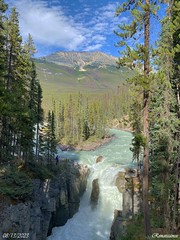 Canadian Rockies - Sunwapta Falls