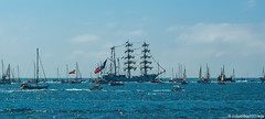 Merchant Marine - 2023 Tall Ships Race Magellan - Elcano