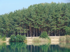 Lakes in Rokitki, Poland.