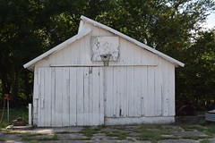 rural basketball