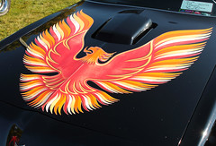 Pontiac Firebird 1979-81