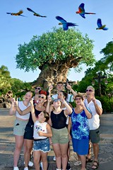 Tree of Life - Disney's Animal Kingdom in Florida.