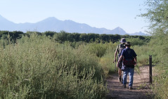 Anza Trail / Desert Meadows...9-19-23